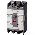 ELCB LS 2P 60A 30mA 35kA ( EBN102c )